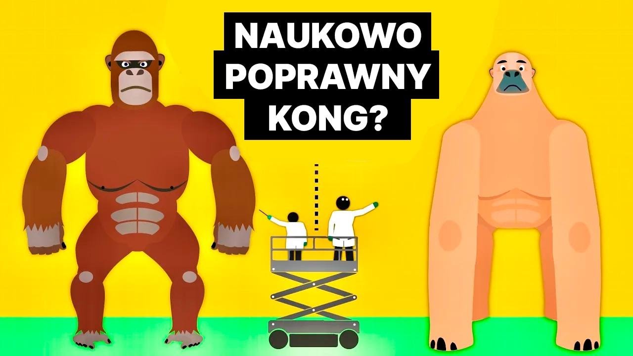 Czy m&oacute;głby istnieć ssak wielkości King Konga? Sprawdzamy fakty!