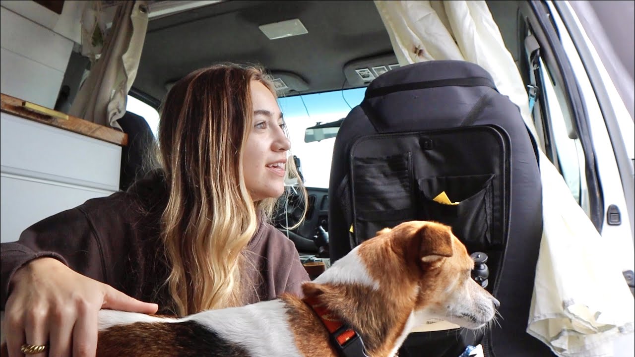 a girl, a dog, and a van | a quiet day in van life