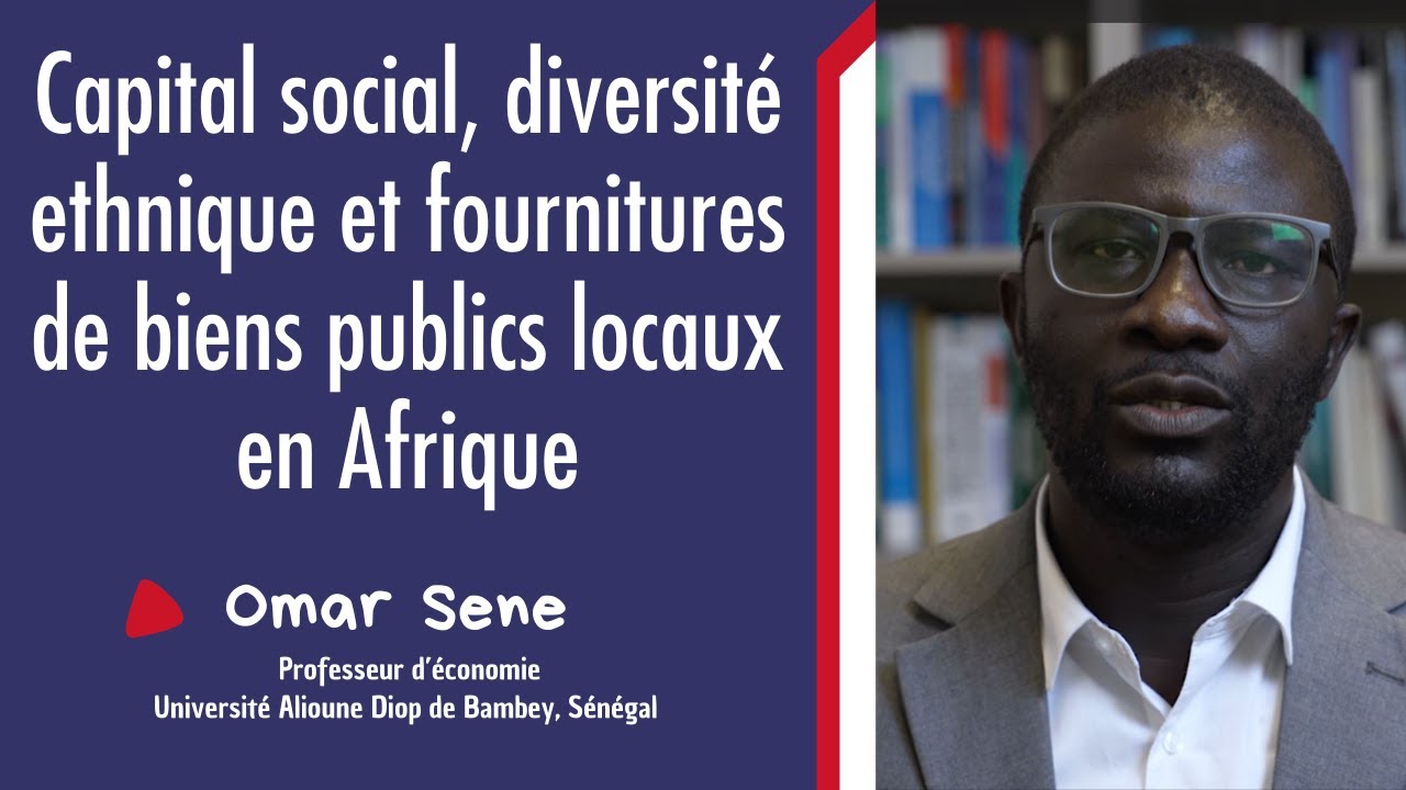 Capital social, diversité ethnique et fournitures de biens publics locaux en Afrique
