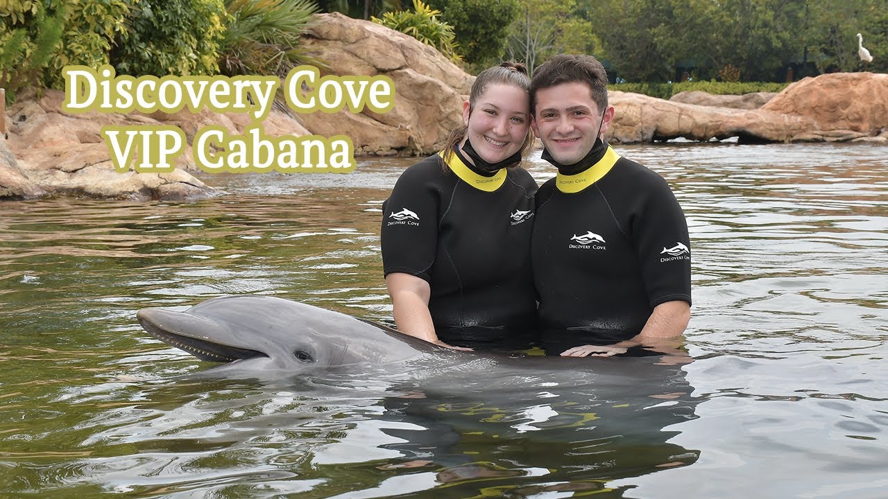 DISCOVERY COVE VIP CABANA | Animal Encounters and Dolphin Swims!