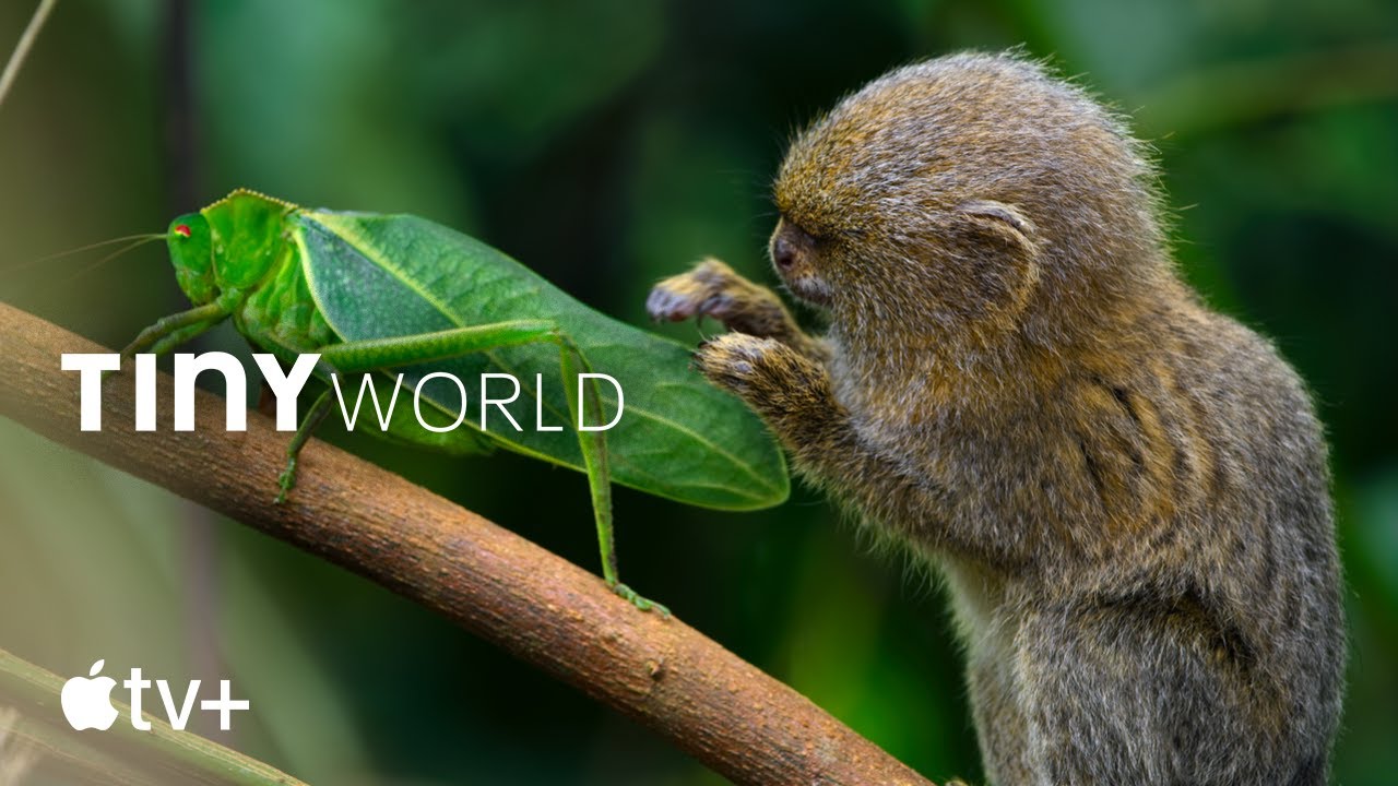 Tiny World &mdash; Official Trailer | Apple TV+