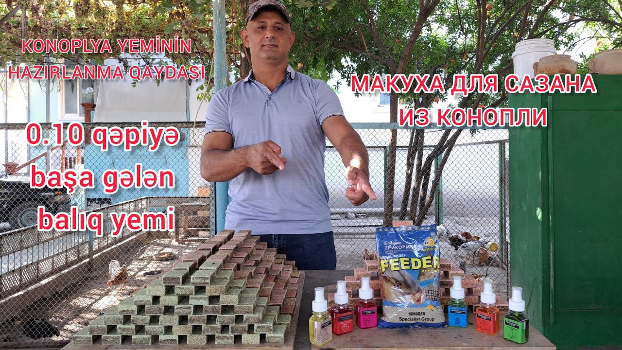 Balıq tutmaq üçün KONOPLYA yeminin hazırlanma qaydası. Çəki balığı üçün Konoplya jımıxı.4-5mərtəbəli