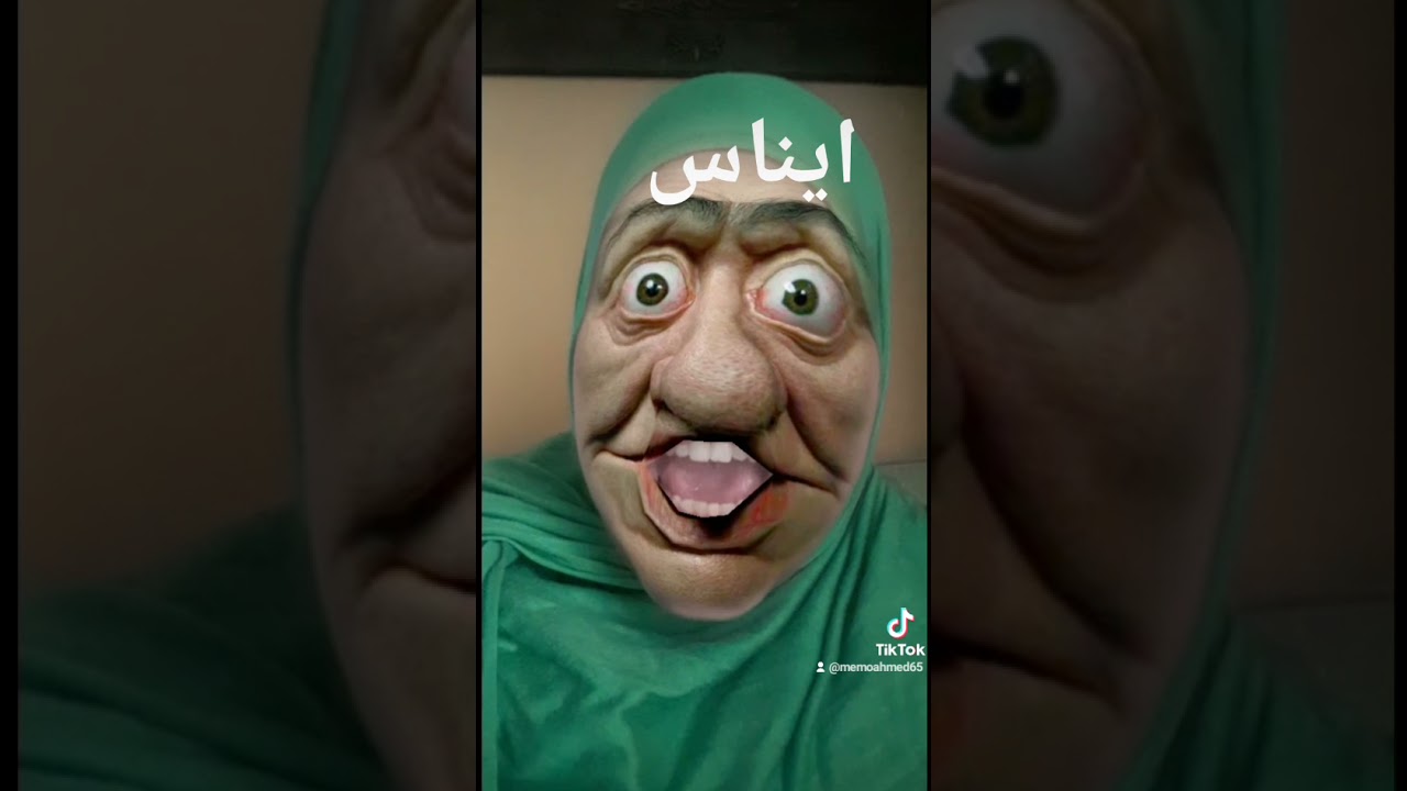 ايناس