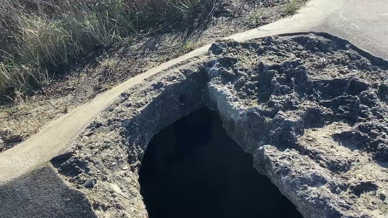Westduinpark Twee duintoppen wandeling