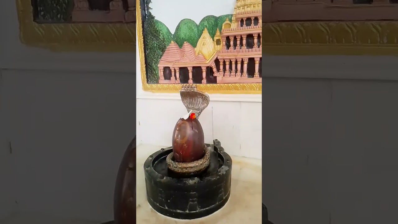 विरात्रा माता के दर्शन  #My #Blog #viral #video #active #YouTube
