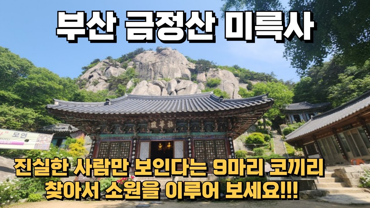 부산 미륵사에서 9마리 코끼리를 찾으면 , 소원이 이루어집니다✨ 더불어 국청사도  같이 다녀왔습니다.