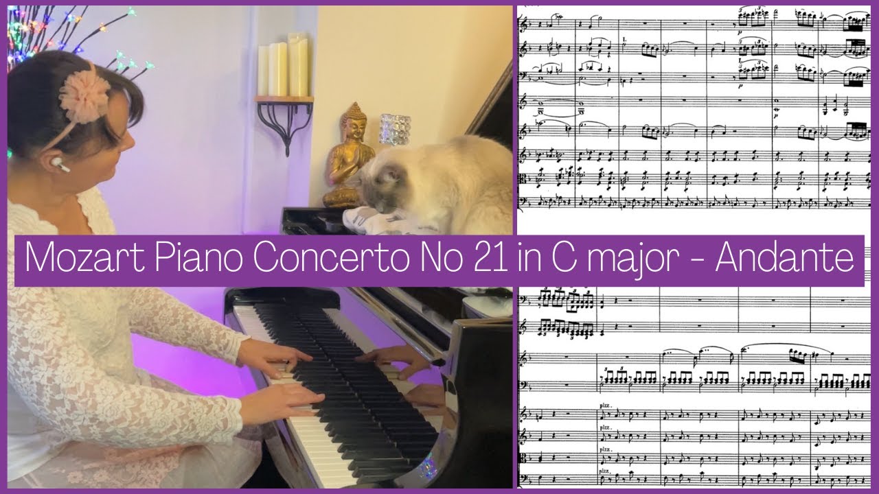 Mozart Piano Concerto No 21, K467  'Andante - Classical Music You Can't Live Without