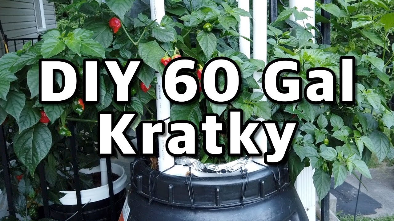 how to build a large 60-gallon Kratky hydroponic system - DIY