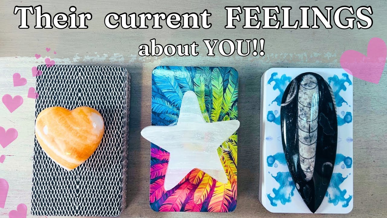 How are they FEELING about YOU??!! DETAILED Pick A Card Love Tarot Reading  * Timeless