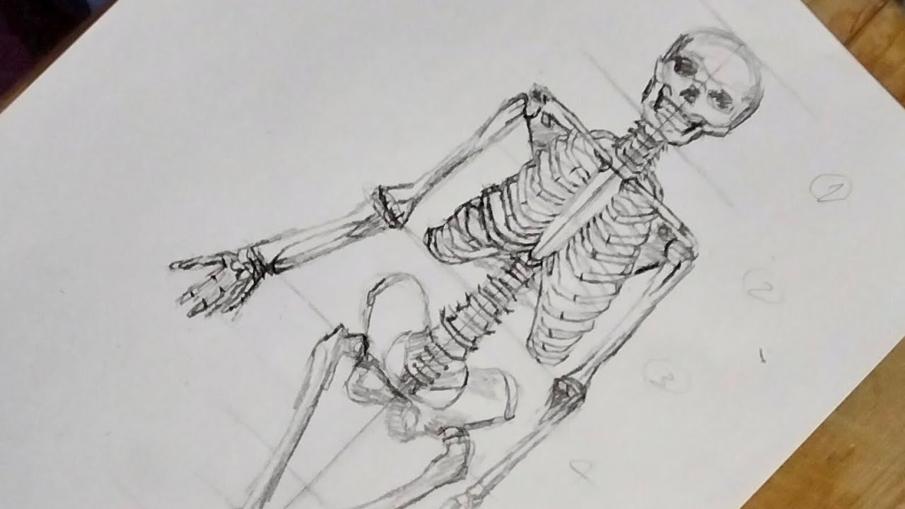 رسم الهيكل العظمي لجسم الإنسان خطوة بخطوة | تعلم رسم جسم الإنسان للمبتدئين بطريقة سهلة