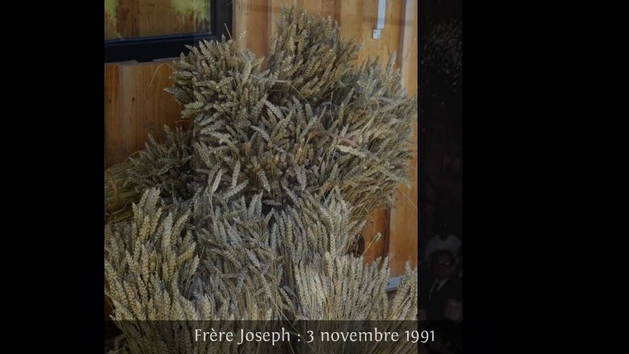 Les étapes de la vie religieuse