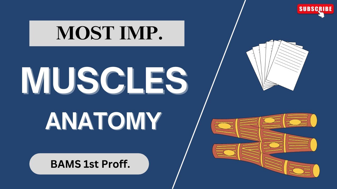 Important muscles for BAMS 1st year | Anatomy | peshi sharir | पेशी शारीर | NCISM | easy tip trick