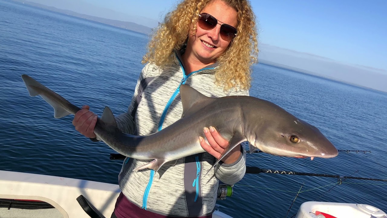 Happy Fisherman   EP3   Mud island Gummy Sharks