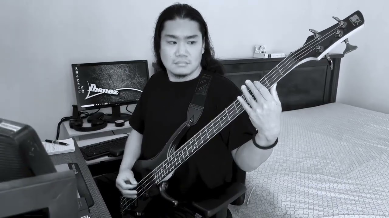 Diary Of Jane - Bass Cover (Full)