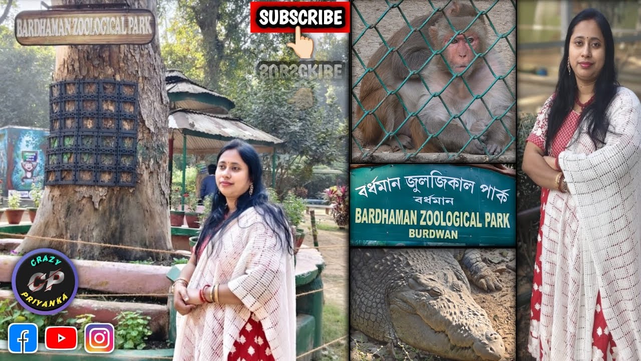 ব্যস্ততম সড়কে অকৃত্রিম শান্তি দেখে আমি তো অবাক!! #crazypriyanka 