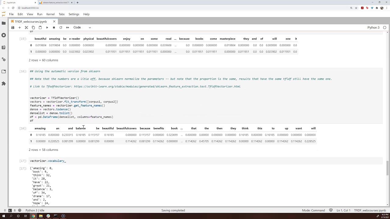 EIN 4912 - TF-IDF Implementation in Python