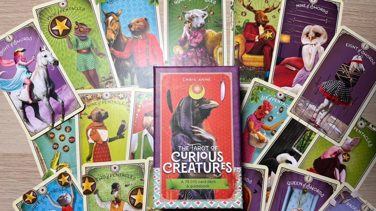 Обзор на шикарную колоду таро любопытных существ🐷🐶🐸🦊🦁🐬🐰🦌/The tarot of curious creatures