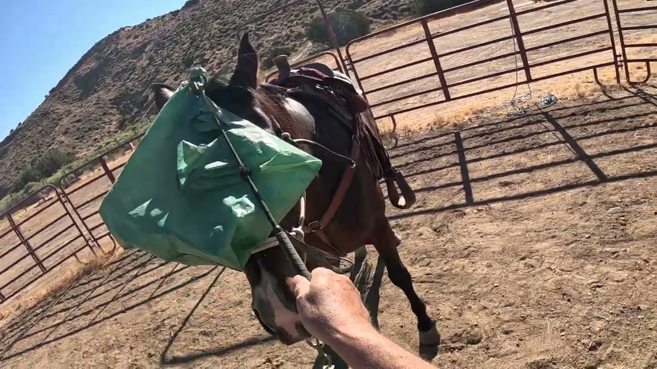 Reel on Great tips on sacking out / desensitizing and saddling your horse.