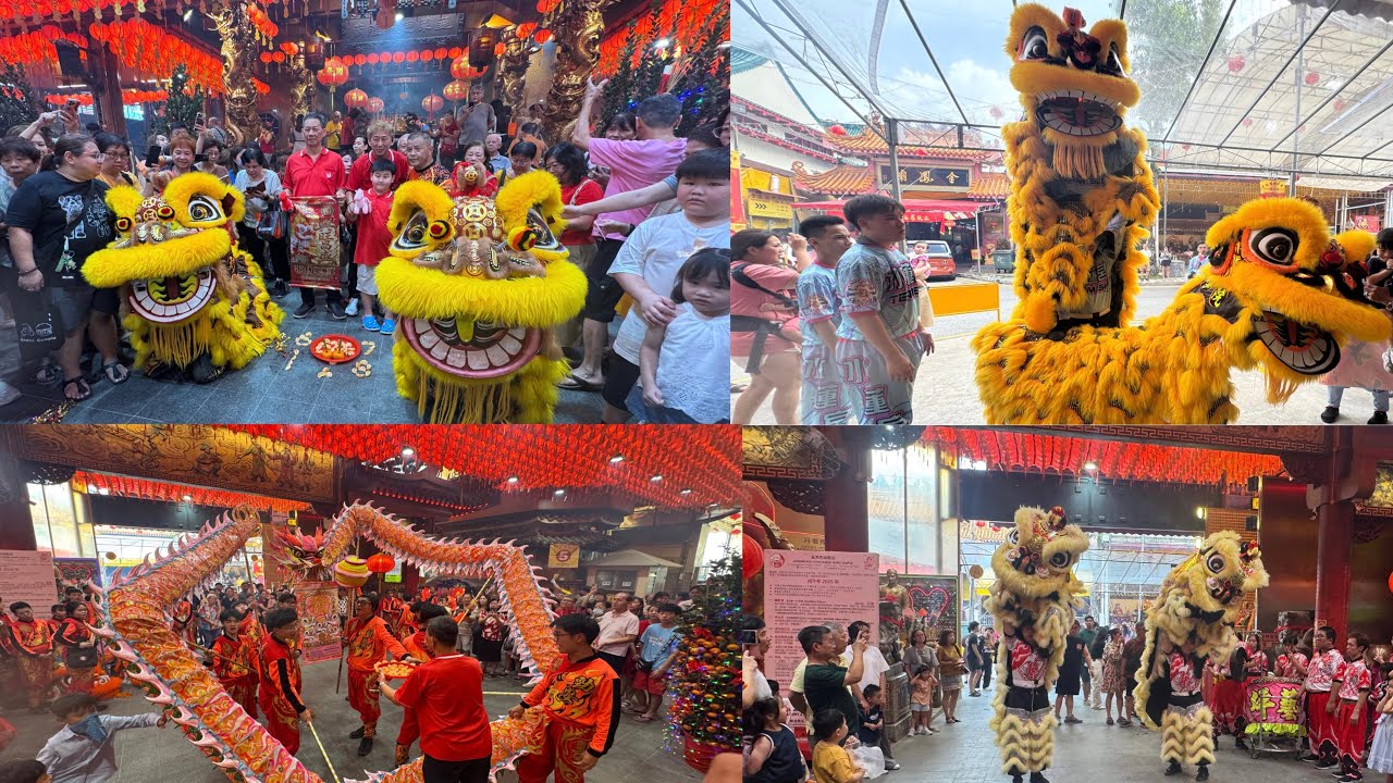 龍獅采青表演 Lion & Dragon Dance Performance at 韮菜芭城隍廟 Lorong Koo Chye Sheng Hong Temple 22 Feb 2026
