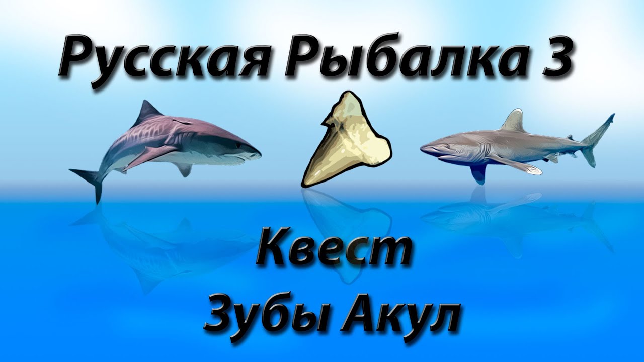 Русская Рыбалка 3.9 Квест Зубы Акул