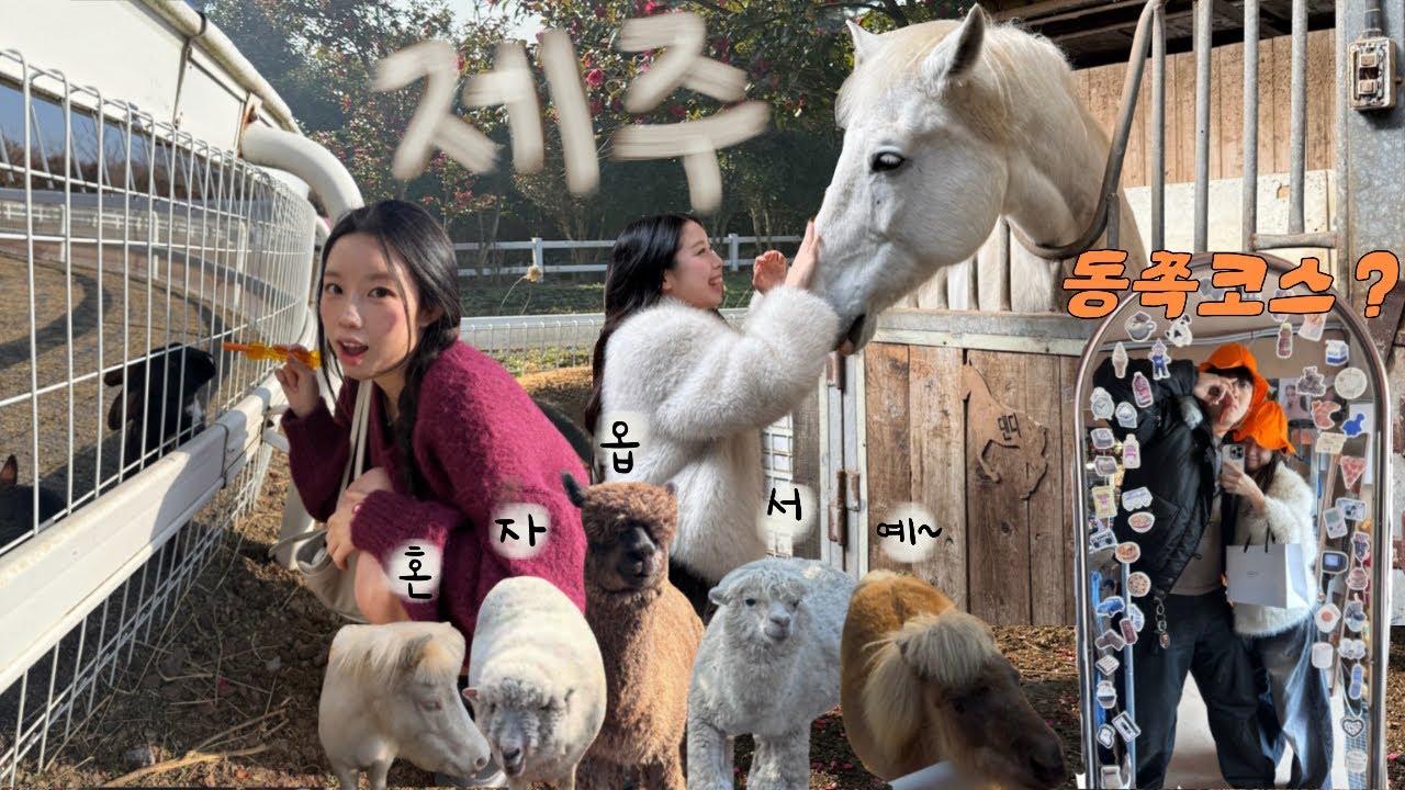 🐴제주동쪽 5day vlog | 제주감성숙소 | 동백꽃•유채꽃 맛집 | 빈티지투어 | 길갈팜랜드 | 우도바이크 | 갈치조림맛집 | 국내커플여행 | 현경Hyunkyoung
