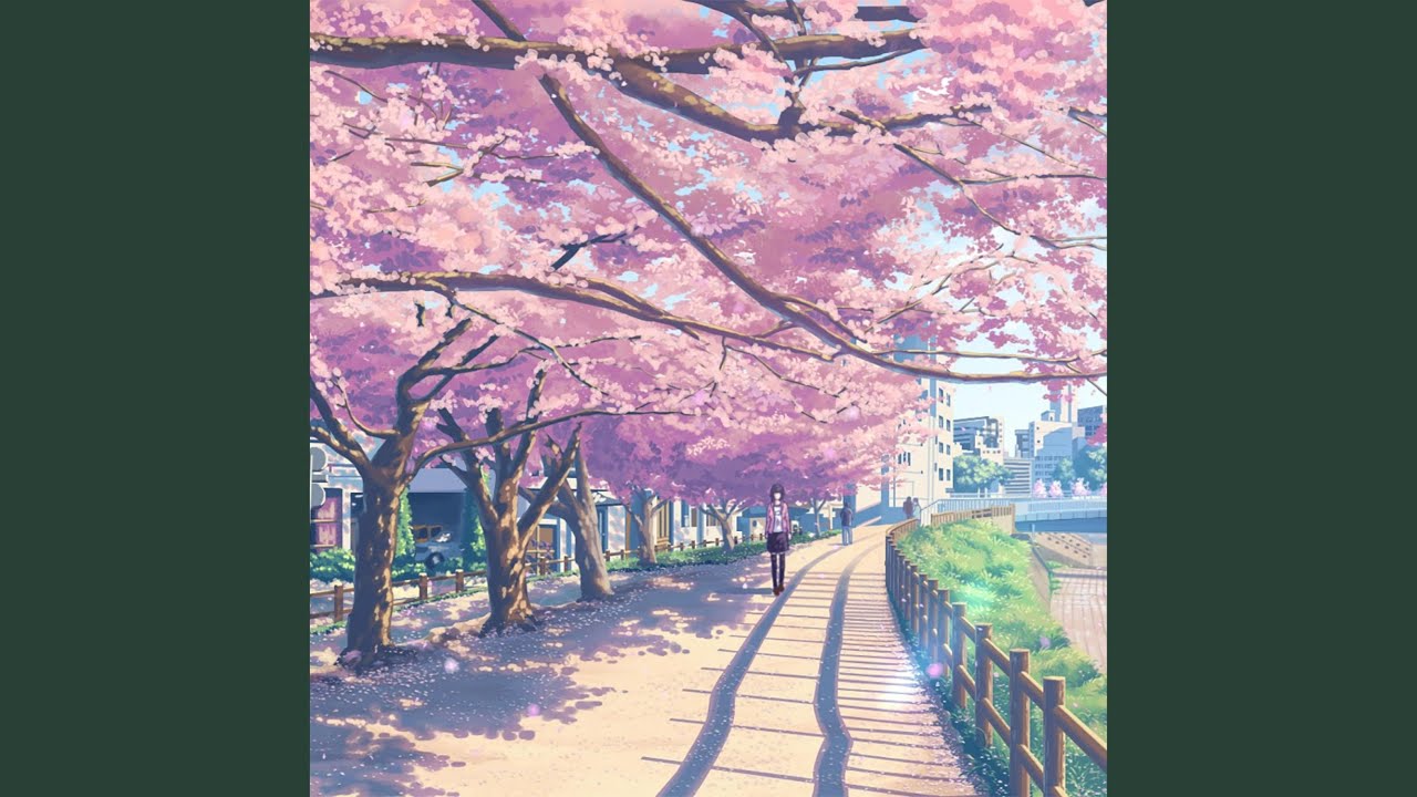 樱花盛放时
