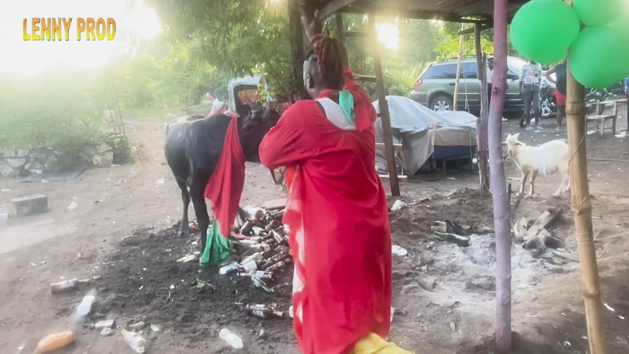 Kadja bosou desann sou ongan Camelot vin gade jan li sakrifye yon bef