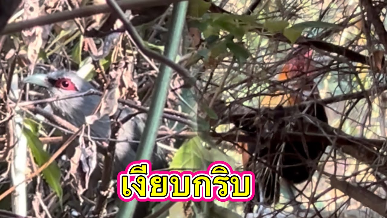 วันนี้อากาศหนาวเลยเงียบมาก