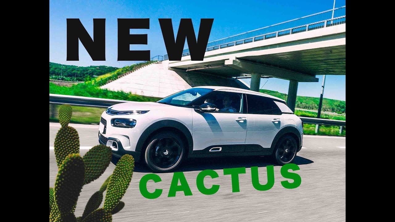 Citroen С4 Cactus: ковёр-самолёт