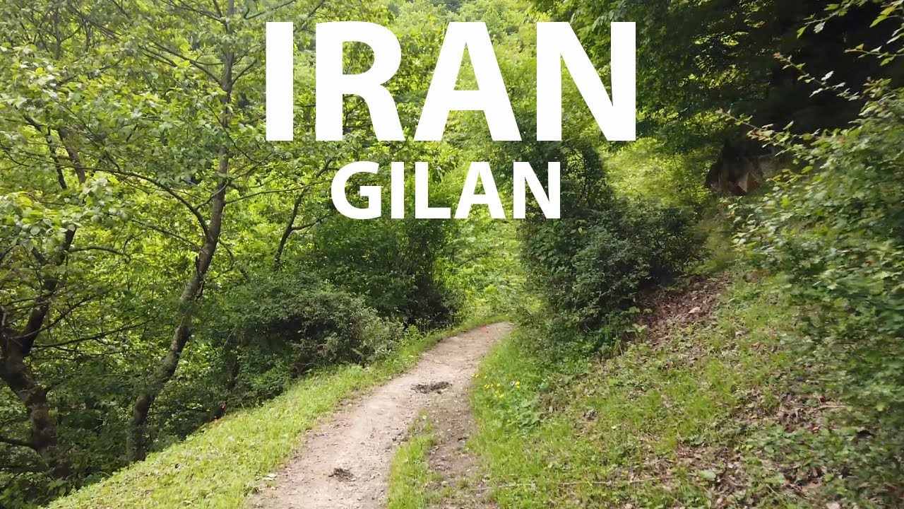 Forrest Walk | Iran - Gilan