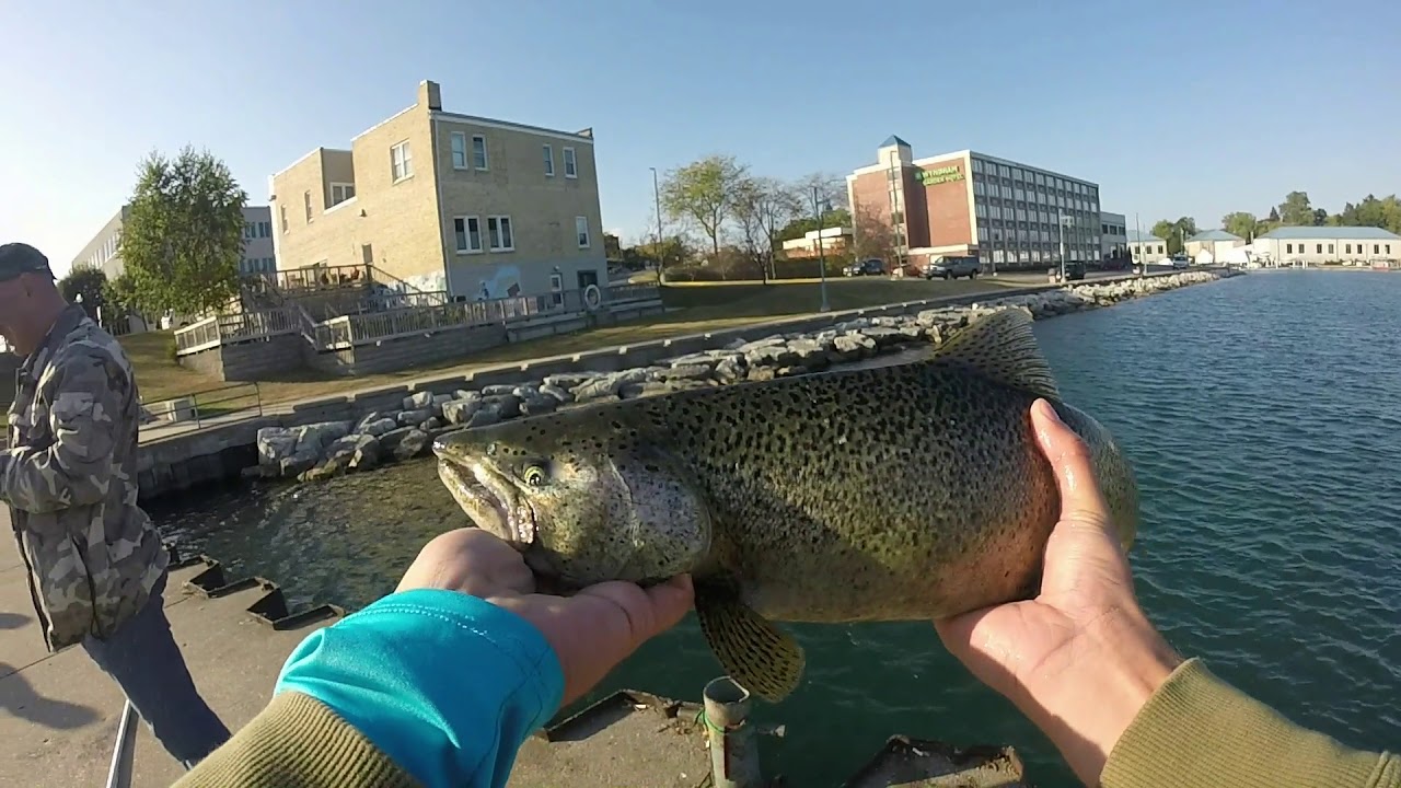 KING SALMON harbor fishing-- Kenosha Wisconsin(Lake Michigan)