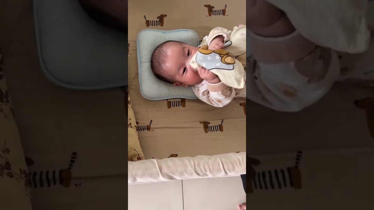 给大家庭看看刚睡醒的小米....==