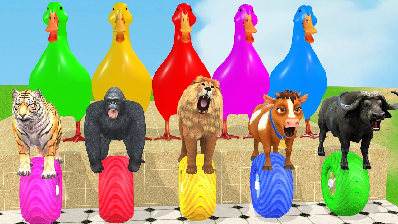 Long Slide Game With Cow Elephant Gorilla Hippopotamus Tiger 3d Animal Game Funny 3d Animals