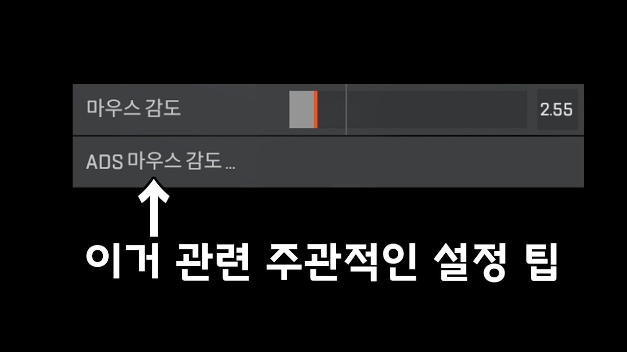 ADS 마우스 감도 설정 주관 팁