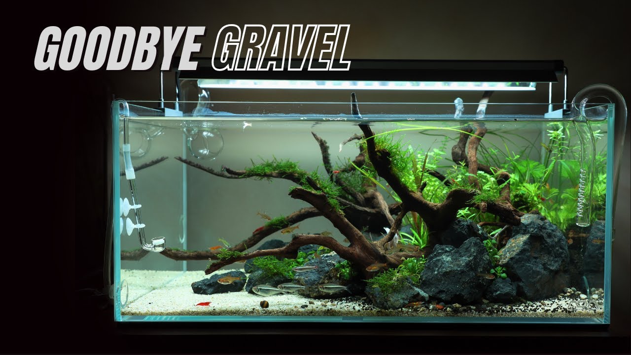 From Gravel to Sand: ADA 45F Gets a Calmer Makeover