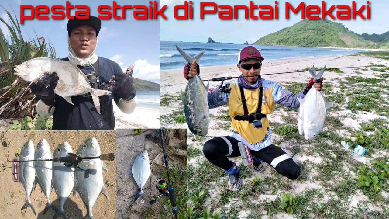 Pesta straik di Pantai Mekaki