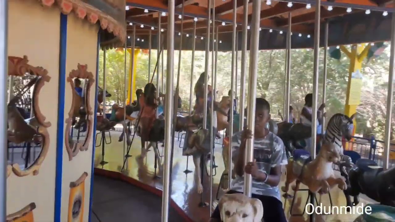 Carousel Ride at the #HoustonZoo