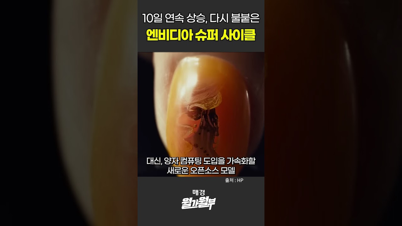 10일 연속 상승, 다시 불붙은 엔비디아 슈퍼 사이클 #shorts