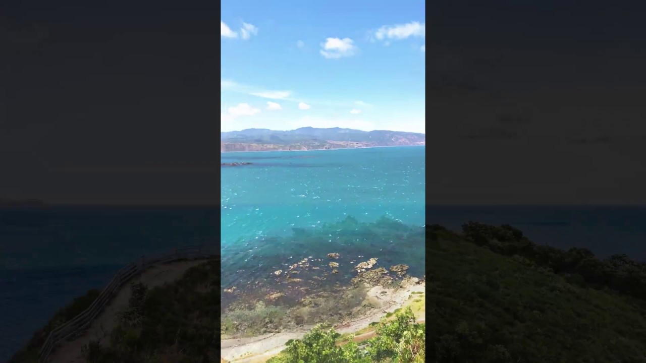 Hiking around Wellington's Eastern and Southern walkways