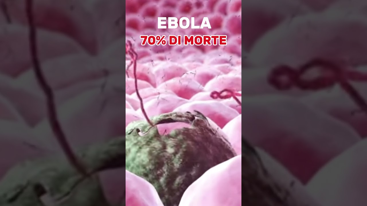 #ScaryFacts #curiosit&agrave; #Natureisterrifyng #fattinquietanti #top5 #youtubeshorts #shortsitalia