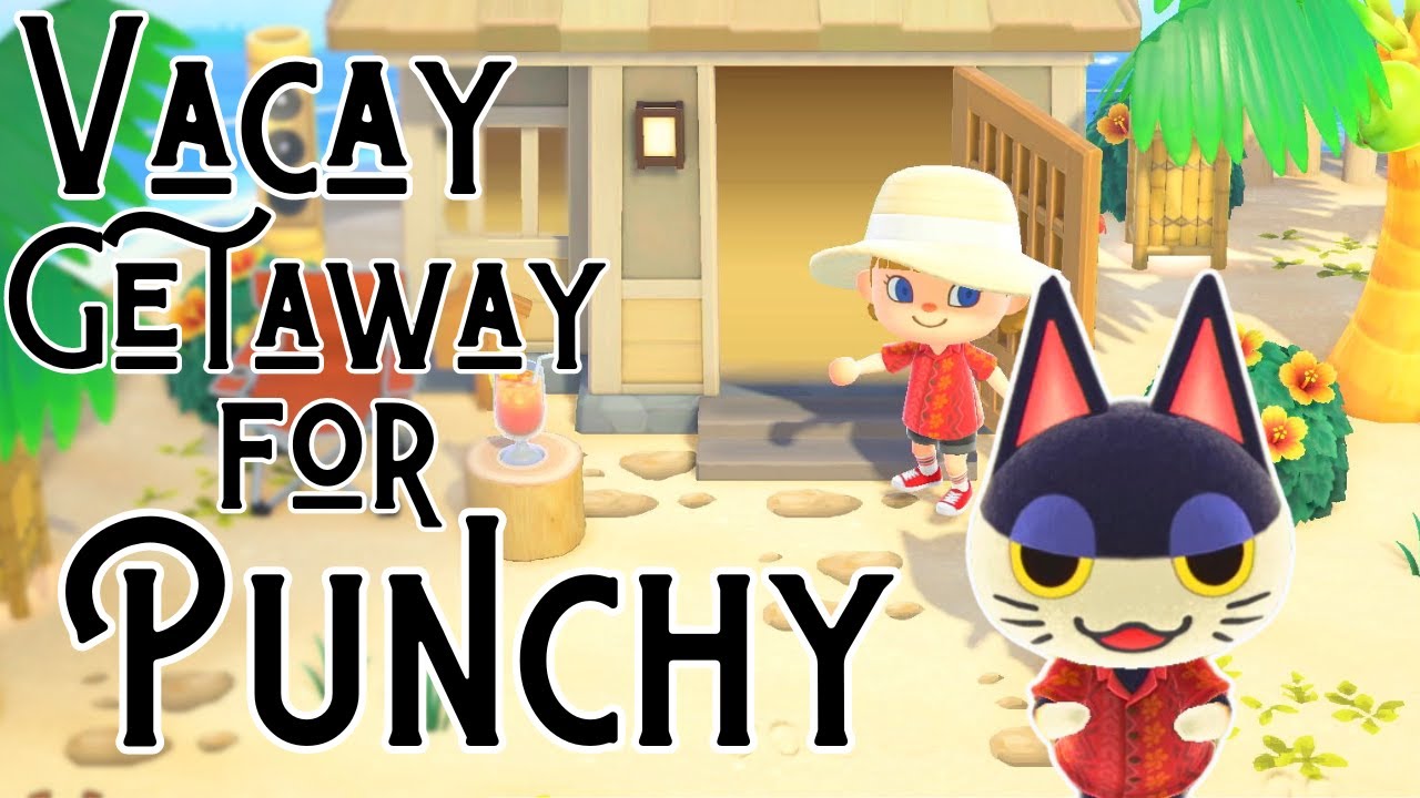 Punchy's Dreaming of a Vacation-Home Treat! | Animal Crossing Happy Home Paradise