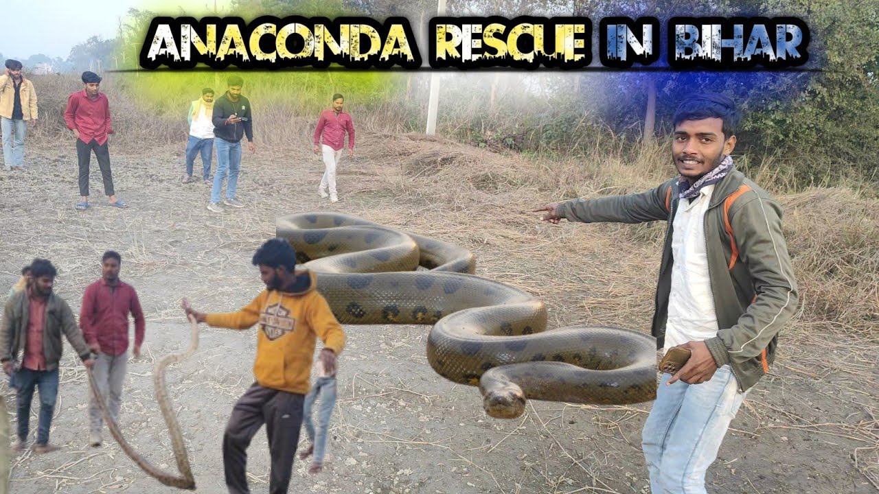 Big Anakonda Rescue In Bihar 😱 || Watch Till End 😭 || Deshi Funny Vloger 🙏🏻🥰