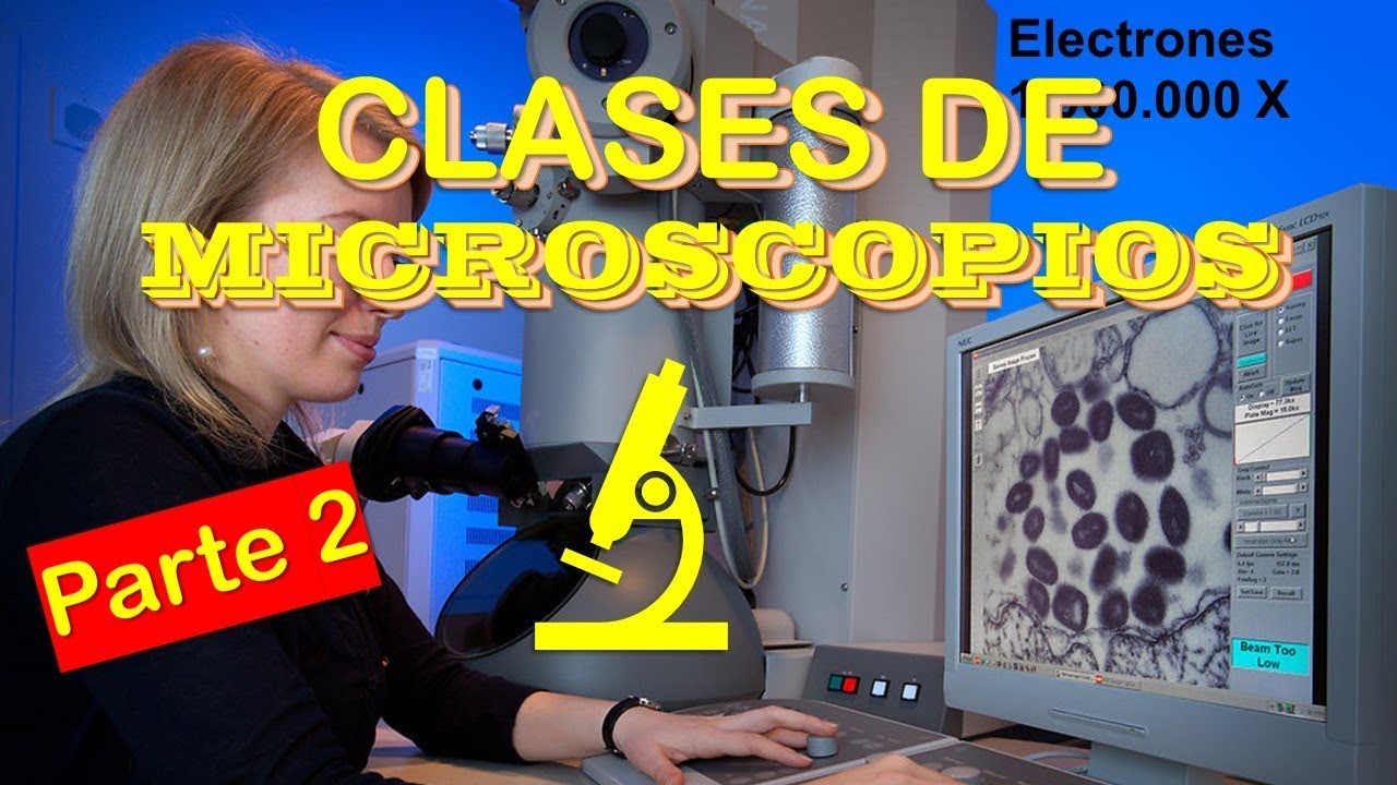 Cuántas Clases de Microscopios Hay? | Parte 2