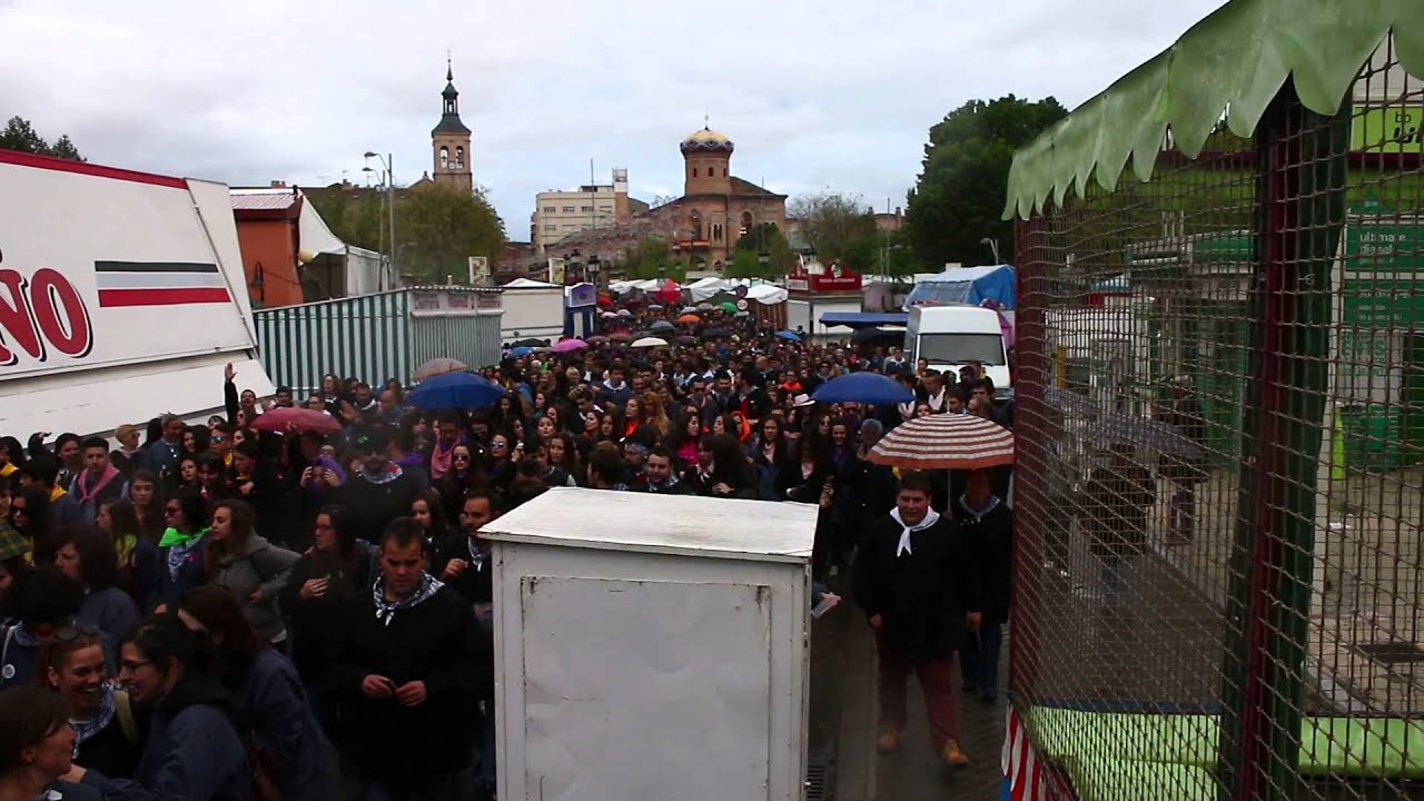 Diana Fiesta del Olivo 2015