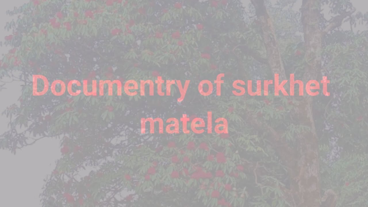 Documentry of Surkhet matela