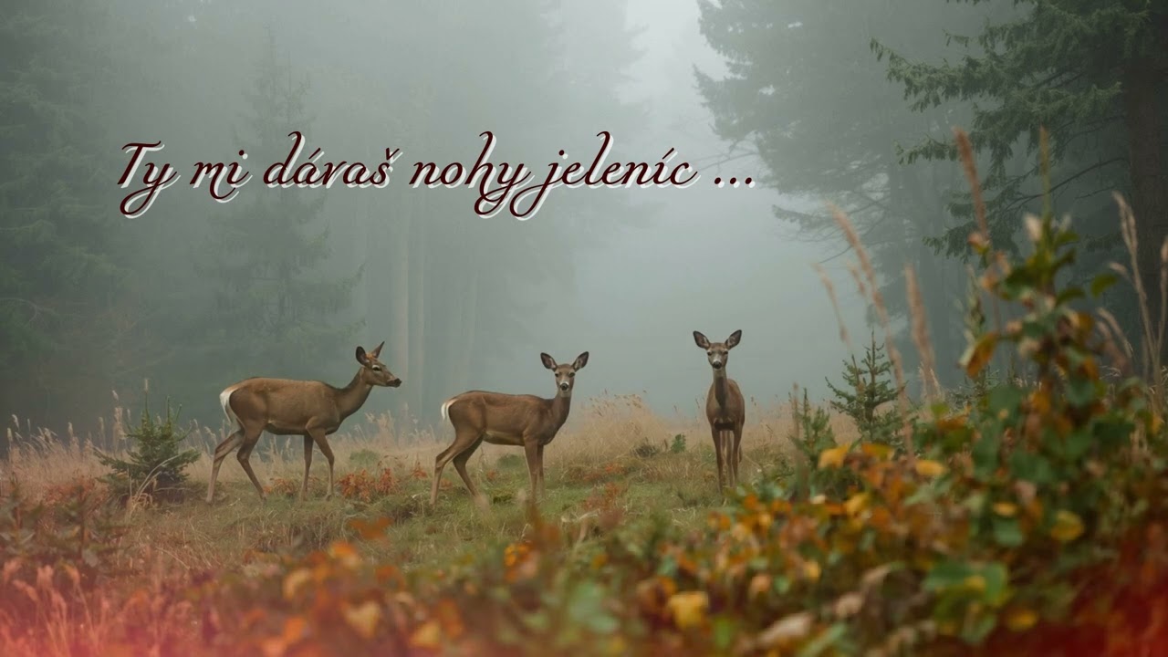 Ty mi dávaš nohy jeleníc