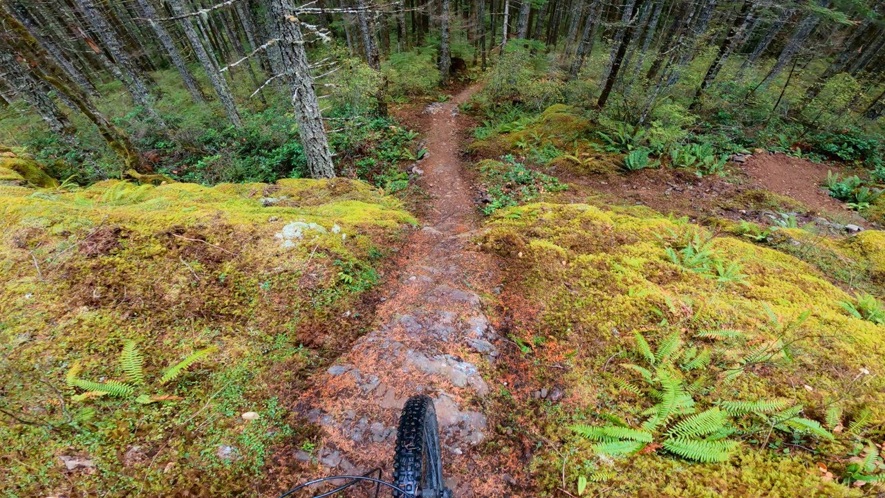 Quadras best flow trails