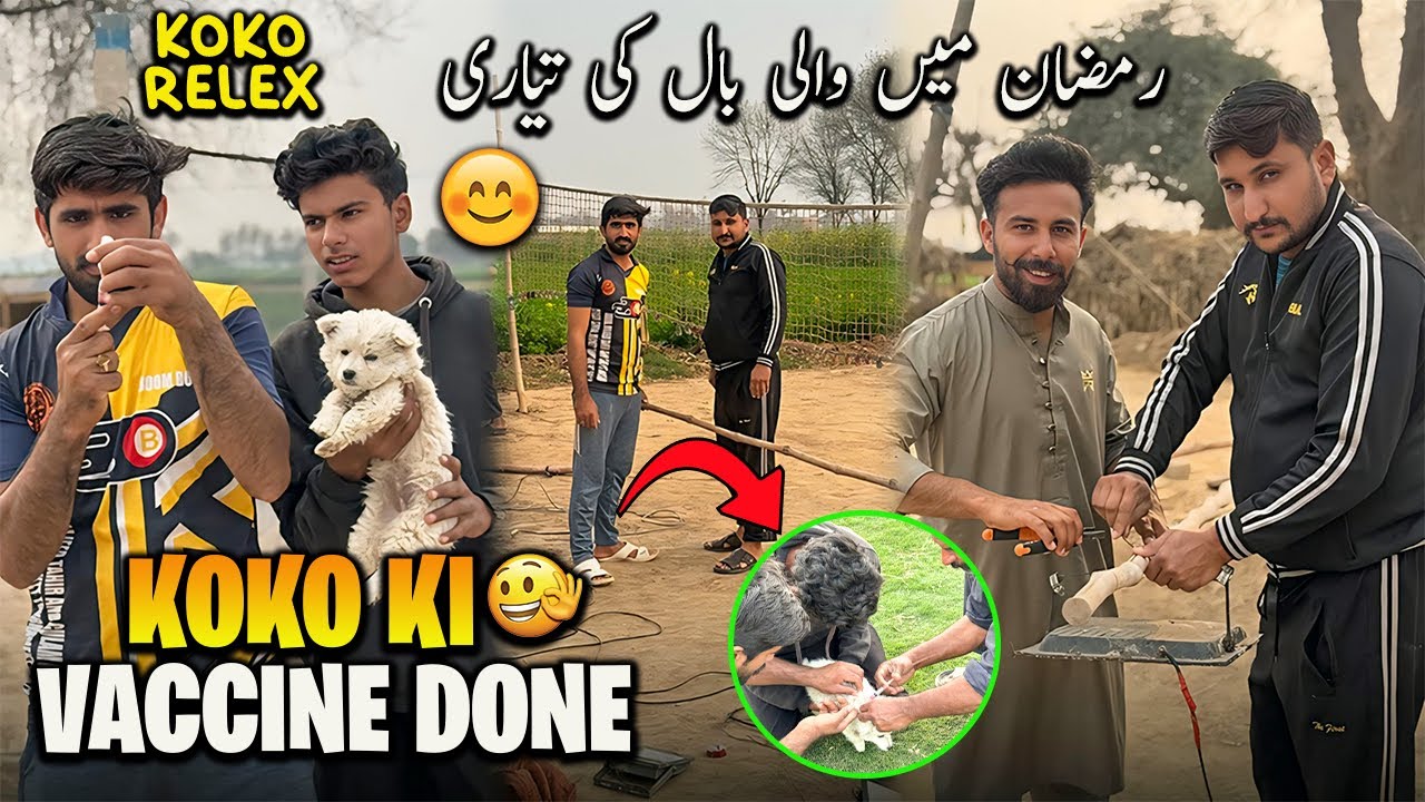KOKO ki Veccine Hogai Aj🩼😍 رمضان مبارک کے لیے والی بال کا گراؤنڈ تیار کرلیا 😎