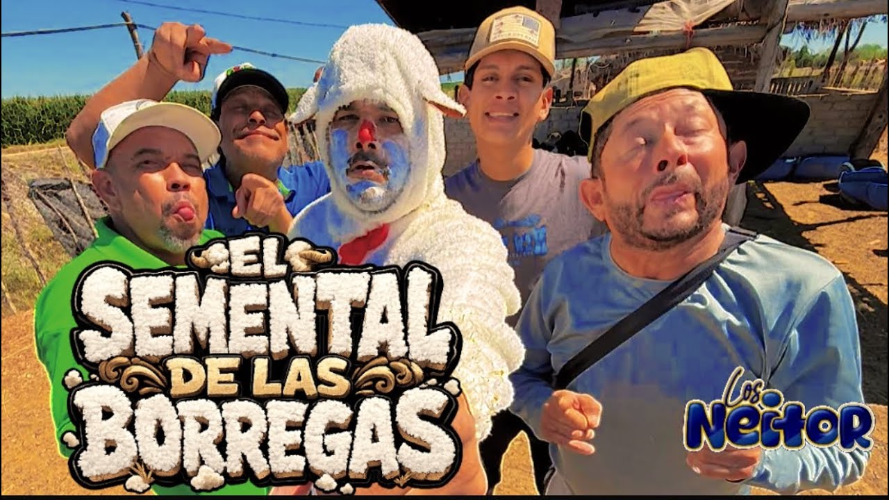 La borreguita delos neitors