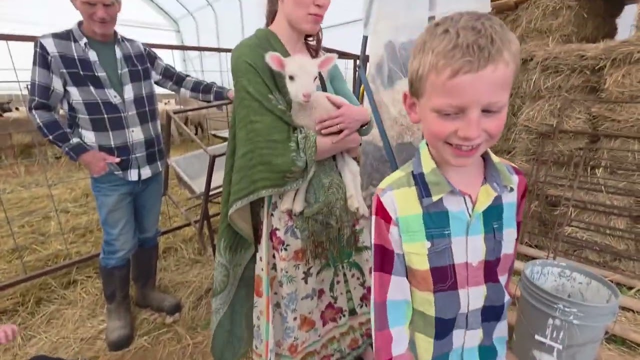 Sunday Afternoon Vlog | Visiting a Sheep Farm | Firebrook Park | Sonny's BBQ